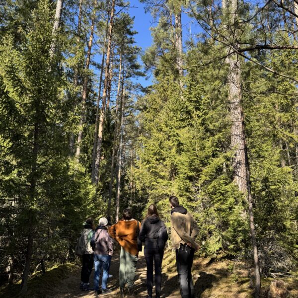 Miško terapija komandai (iki 10 asmenų)